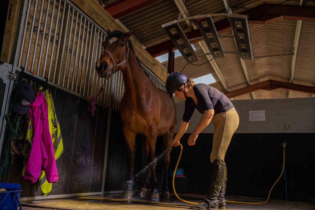 Oynvora Equestrian Club: Where Horse Riding Dreams Become Reality