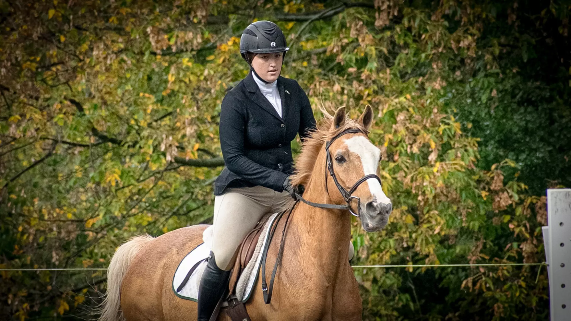 Oynvora Equestrian Lessons: Ride with Confidence and Grace