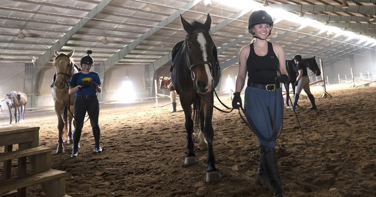Discover Oynvora: Your Ultimate Equestrian Club for Riding Lessons and Horse Rentals