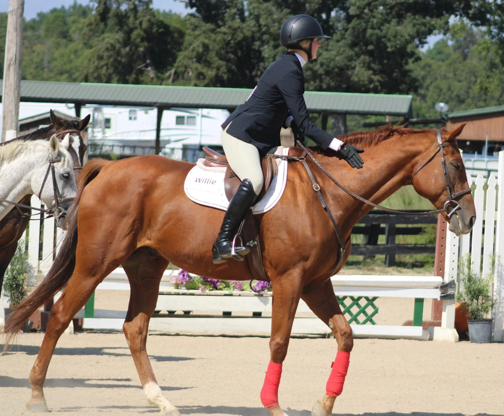 Explore Nature on Horseback: Oynvora’s Scenic Trail Rides