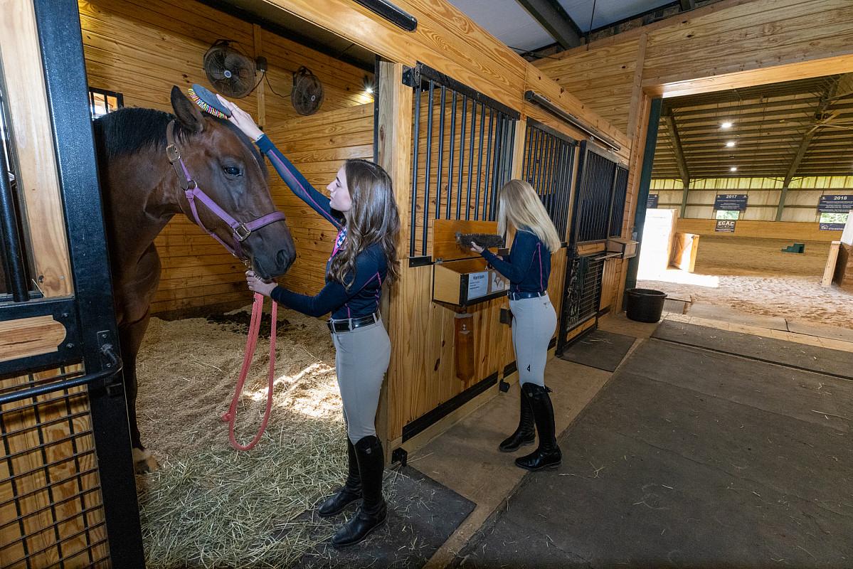 Join Oynvora’s Equine Community: Learn to Ride and Rent Horses with Confidence