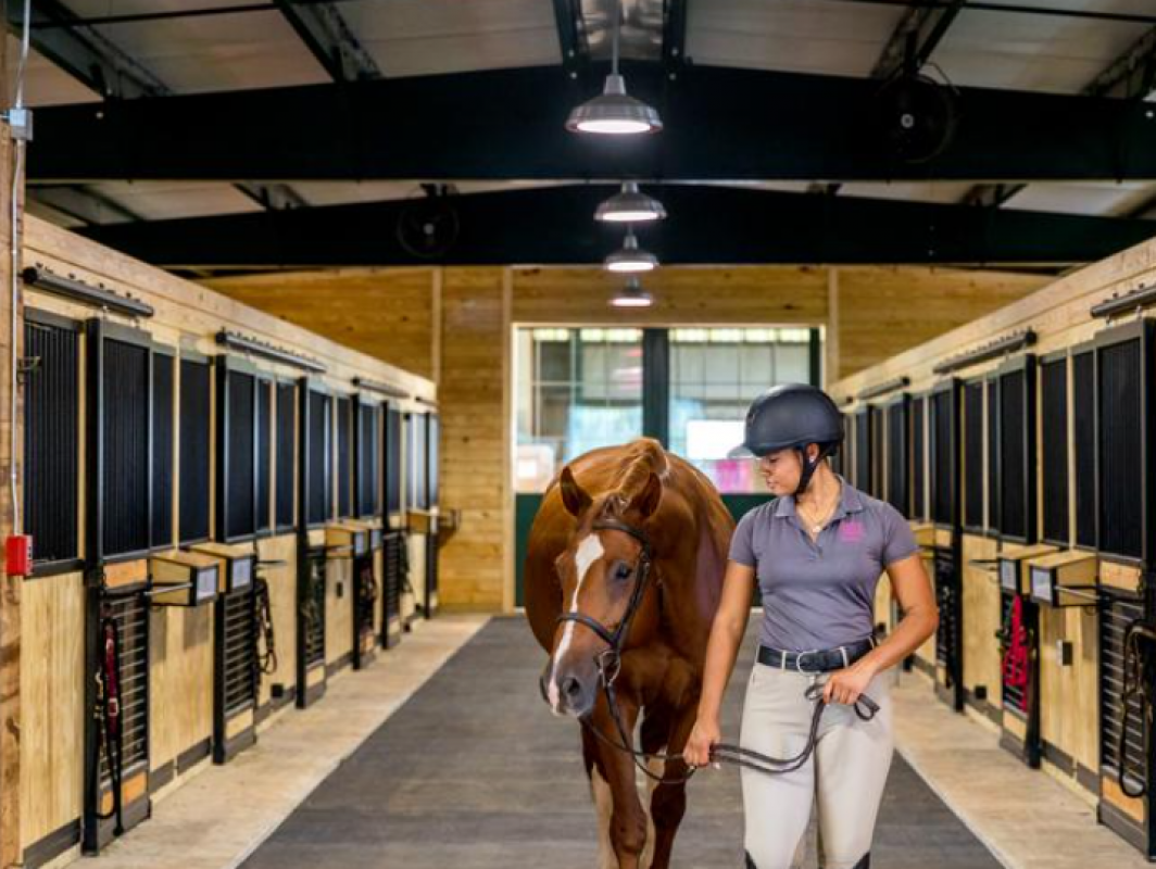 Master Horse Riding with Oynvora – Expert Training and Premium Horse Rentals