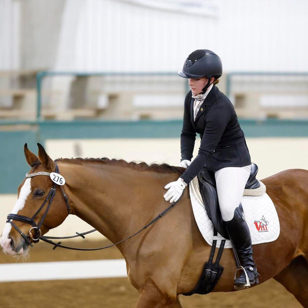 Beginner to Pro: Oynvora’s Tailored Horseback Riding Courses