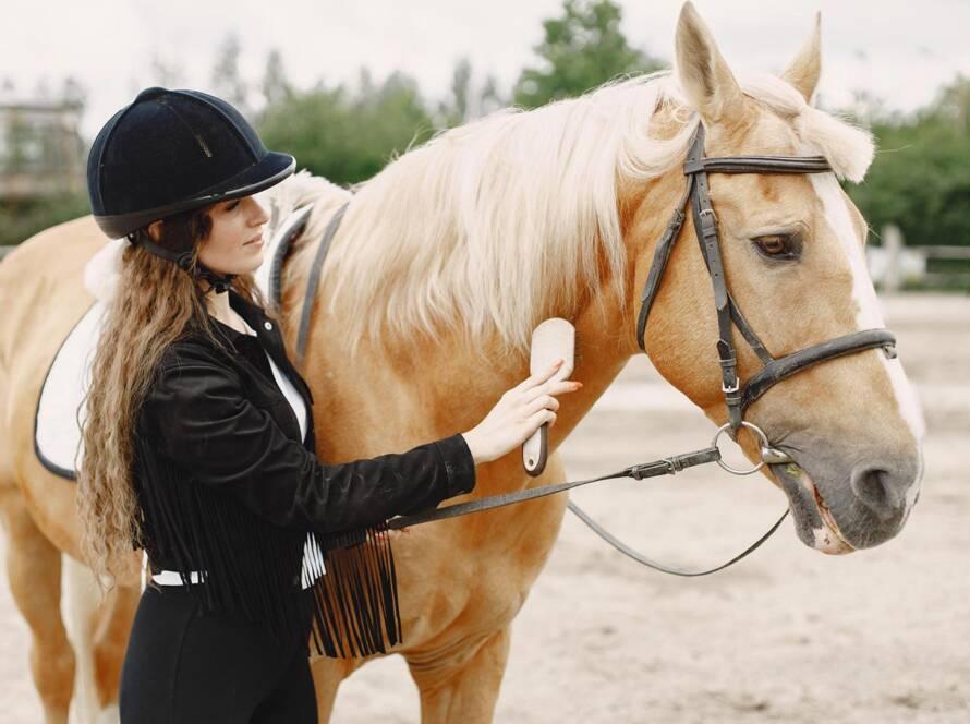 Horse Rental Services at Oynvora: Your Adventure Awaits